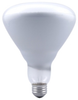 Standard Incandescent Lamp -- 300BR/FL-120V/14779 - Image