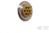 Media Isolated Pressure Sensors - 85-005A-0R - TE Connectivity