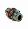 RF Adapters - In Series - 172124 - VAST STOCK CO., LIMITED