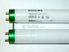 1 5/8 Inch Gap T8 Cool White UBent Fluorescent Bulb -- 226779 - Image
