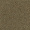 Jackpot Broadloom 2420 Carpet - High Roller 1408 - J+J/Invision