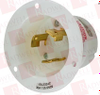 Plug/Receptacle - 11648223 - Radwell International