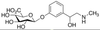 Phenylephrine Glucuronide - 13029 - Medical Isotopes, Inc.