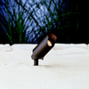 Landscape Ltg.-Accent - 316455 - Light Center (The)