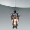 Exterior -Hanging - 79055 - Light Center (The)
