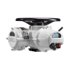 Electric Intelligent Actuators, IQ3M Pro - Modulating - Image