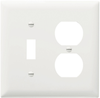 Combination Openings, 1 Toggle Switch & 1 Duplex Receptacle -- TP18W - Image