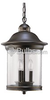 Three-Light Outdoor Hanging Lantern Fixture - 60081-71 - bulbs.com