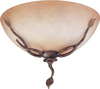 Flush Mounts-Bowl Style - 29254 - Light Center (The)