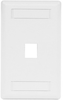 Datacommunication Face Plate -- IFP11W - Image