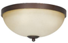 Flush Mounts-Bowl Style - 319455 - Light Center (The)