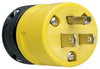 Straight Blade Plug - 1447 - Selecta Products
