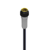 CANopen / DeviceNet, Cordset, single ended: 7/8