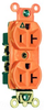 Duplex/Single Receptacle -- IG8300 - Image