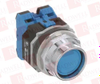 Pushbutton -- 101867356 - Image