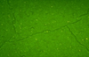 Auramine O Rhodamine B Stain for AFB (Fluorescent Stain) - k068 - Poly Scientific