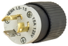 Locking Device Plug -- 4721NP - Image