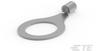 Ring Terminals - 50981 - TE Connectivity