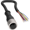 Circular Cable Assemblies - 2170-BC-M12F12-24-10-ND - DigiKey