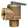 Steam Safety Relief Valve, ASME Section IV -- 315-M - Image