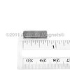 Plate Magnets - P250AF - Amazing Magnets, LLC