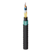 Indoor/Outdoor Riser Heavy Duty Loose Tube OM2 24 Fibers - FD2H0245G - Belden Inc.