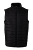 Bodywarmers -- 150117 - Image