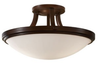 Close to Ceiling Lighting Fixture - SF283HTBZ - Generation Brands