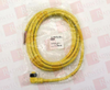 QD Cable/Cord Set - 39191419 - Radwell International