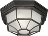 17005-01-64 Exterior -Ceiling Mount - 315295 - Capital Lighting, Inc.