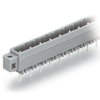 Headers, Plugs and Sockets - 2946-231-240/040-000-ND - DigiKey