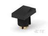Rocker Switches -- 1-1437596-4 - Image