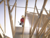 Thermostat® Radiant Barrier Sheathing (Plywood)
