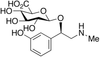 Phenylephrine 2-O-Glucuronide - P320660 - Toronto Research Chemicals, Inc.