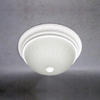 Flush Mounts-Bowl Style - 299789 - Light Center (The)
