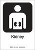 Kidney (W/PICTO) - 142416 - Brady Corporation