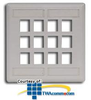 Hubbell IFP Double Gang Wall Plate - 12 Ports - IFP212 - TelephoneStuff.com