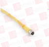 QD Cable/Cord Set - 63872838 - Radwell International