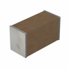 Ceramic Capacitors - 0201BB102K500NGT - ODG (Origin Data Global)