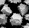 Borazon® Mesh CBN -- Resin Bond System - Image