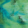 Pale Green/Aqua Blue Waterglass Glass - 423-1W - Spectrum Glass Company, Inc.