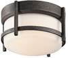 49125AVIFL Exterior -Ceiling Mount - 679640 - Capital Lighting, Inc.