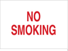 No Smoking Sign - 72022 - Brady Corporation
