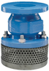 Foot Valves -- 302BT - Image