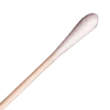 Clean Room Swabs and Brushes - 1873-1113-ND - DigiKey