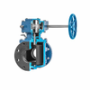 DeZURIK Soft Rubber Lined Eccentric Plug Valves (PEC or PEF-CIS)