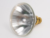 100 Watt PAR38 Cool White Metal Halide Spot -- 288761 - Image
