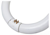 Circline Fluorescent Lamp -- FC12T9/CW - Image
