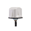 RF Antennas - GLHPDLTEMIMO-LTW - Quarktwin Technology Ltd.