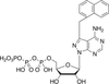 4-Amino-3-(1-naphthylmethyl)-1H-pyrazolo[3,4-d]pyrimidine-.. - A618360 - Toronto Research Chemicals, Inc.